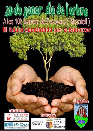 Dia de l´arbre 20/01/2018
