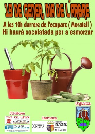 Dia de l'Arbre 2019