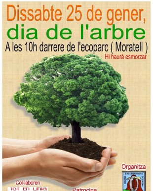 Dia de l´arbre - Xixona 25 de gener 2025