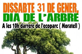 31 gener Dia de l'arbre